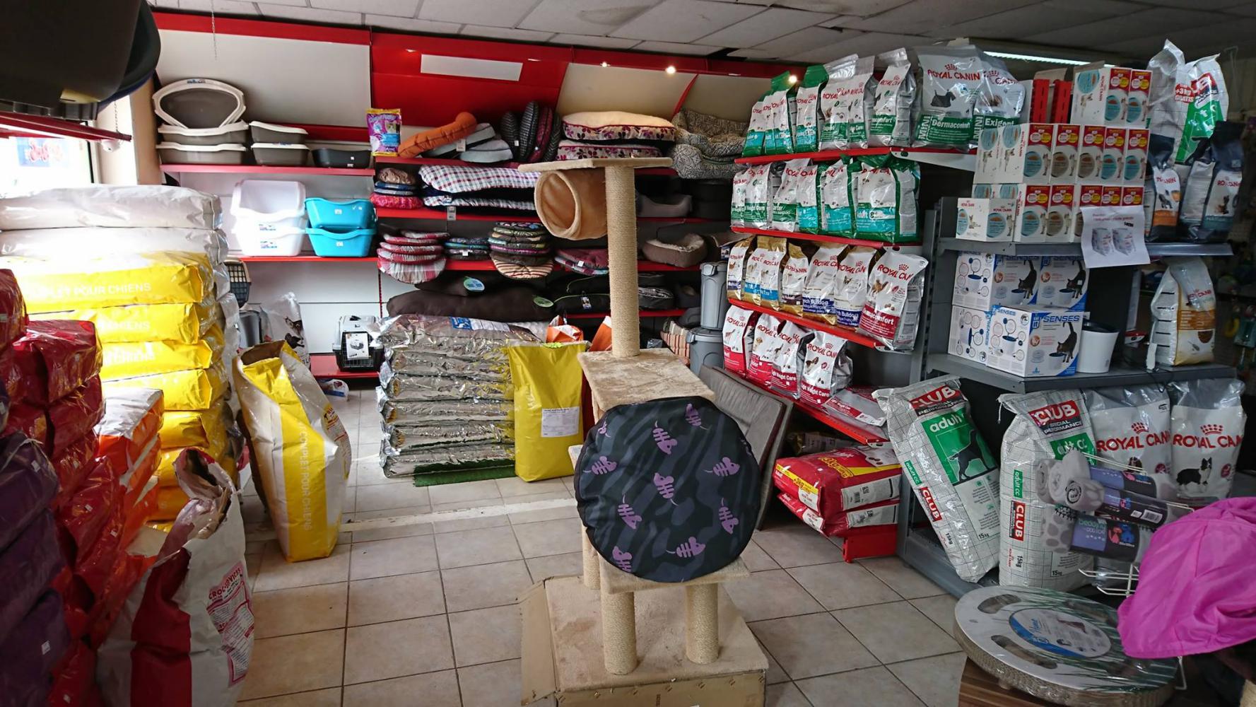 Aqua Corail Cahors animalerie spécialisée aquariophilie et animaux de compagnie