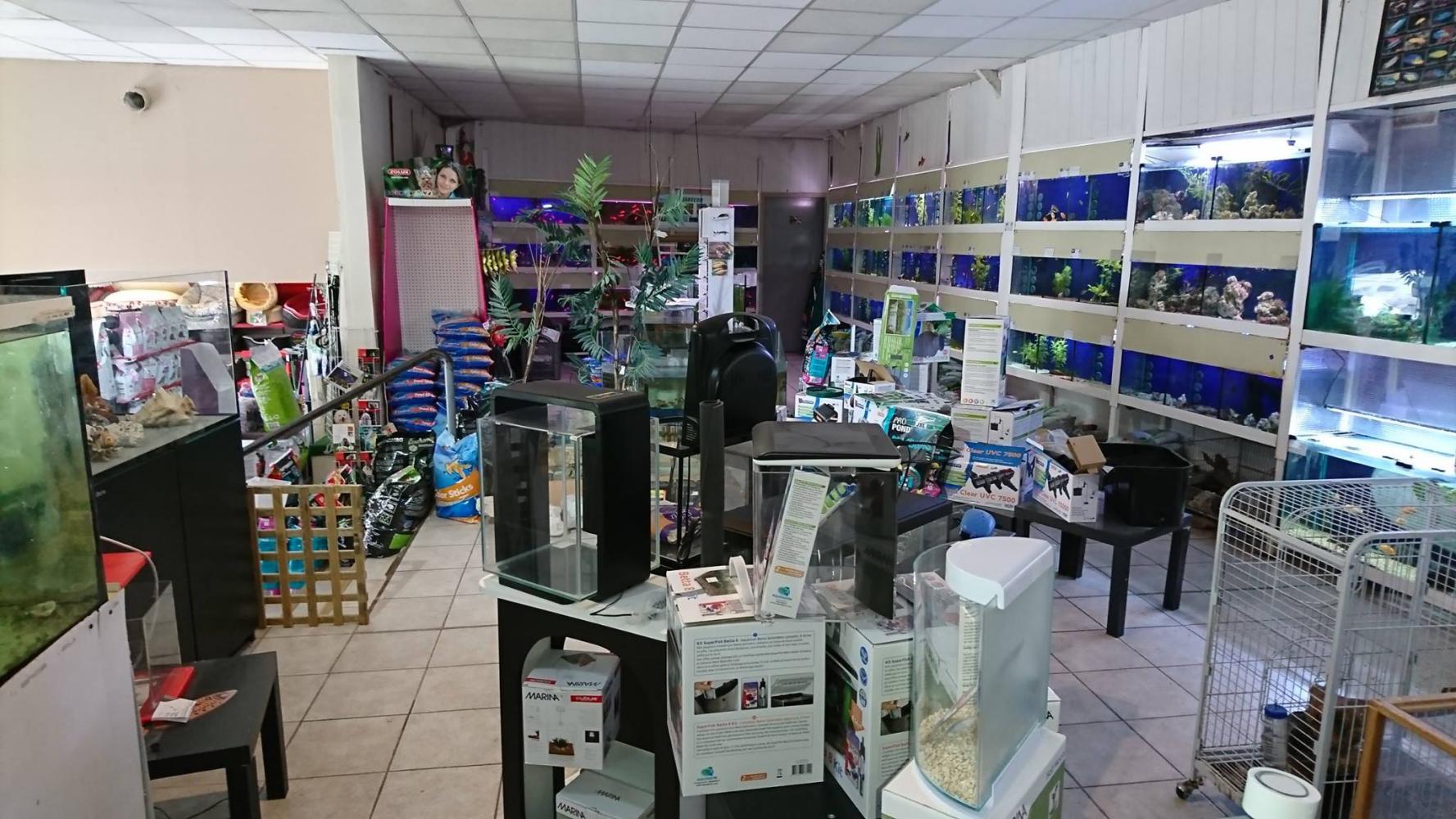 Aqua Corail Cahors animalerie spécialisée aquariophilie et animaux de compagnie