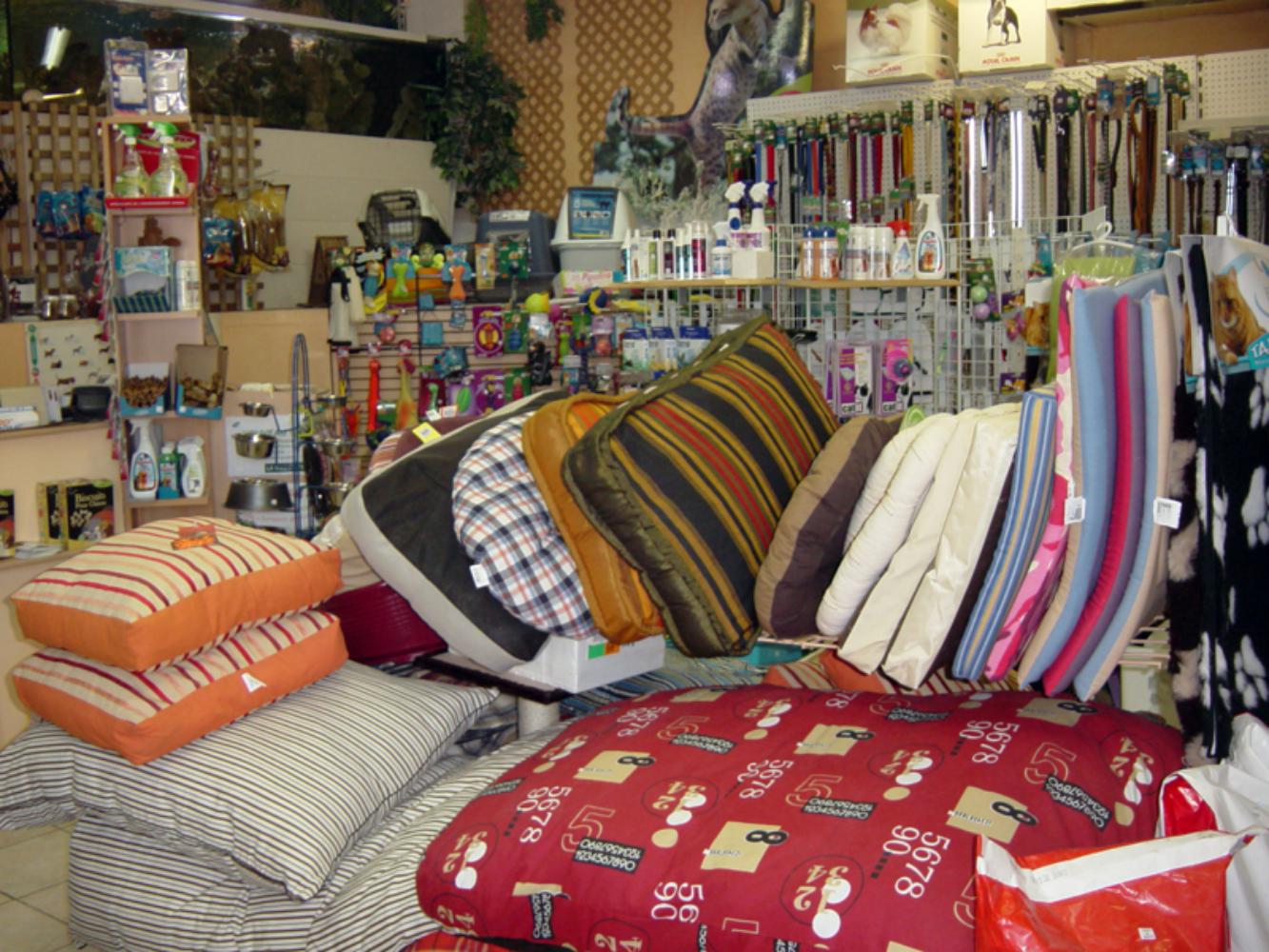 Aqua Corail Cahors animalerie spécialisée aquariophilie et animaux de compagnie