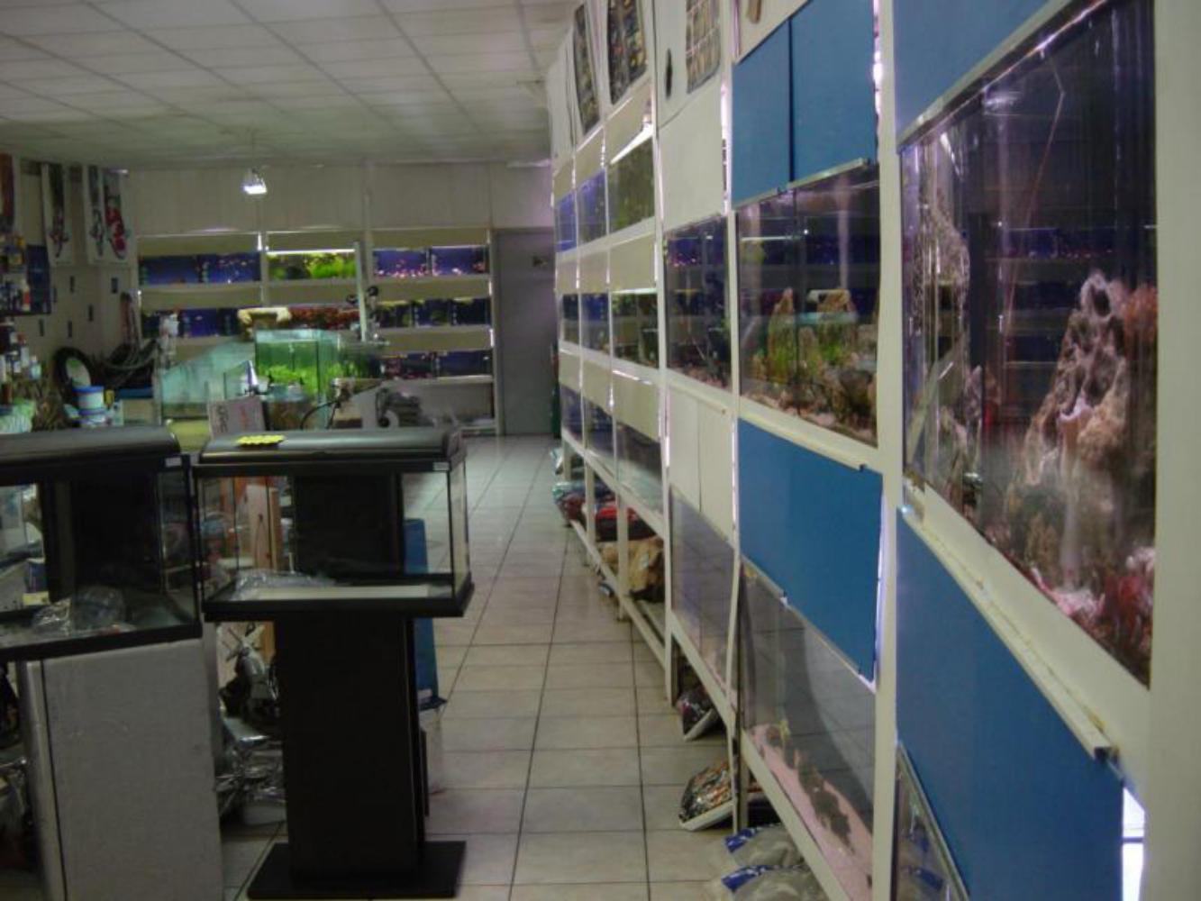 Aqua Corail Cahors animalerie spécialisée aquariophilie et animaux de compagnie