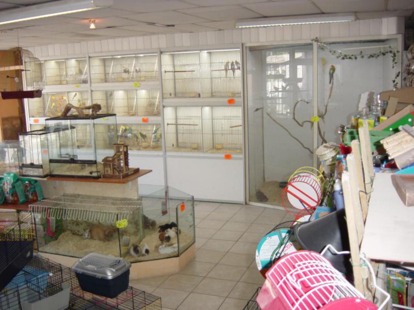 Aqua Corail Cahors animalerie spécialisée aquariophilie et animaux de compagnie