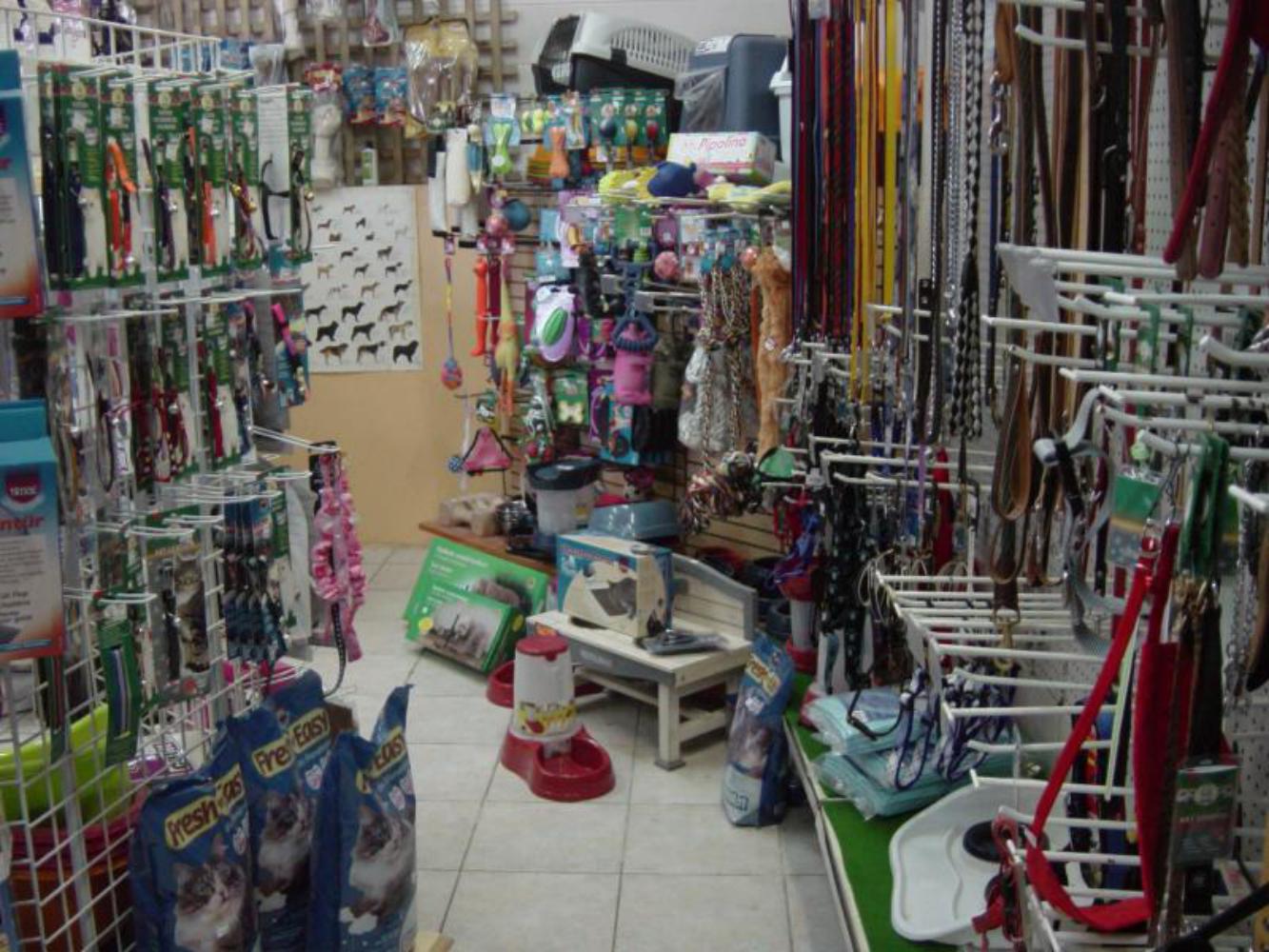 Aqua Corail Cahors animalerie spécialisée aquariophilie et animaux de compagnie